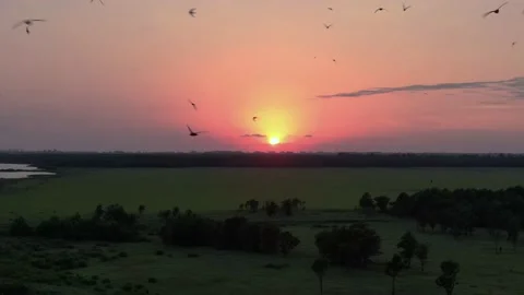 Beautiful View of  Winding River, surrounded by Forest and Mountains at Sunset. Video stock 237815530