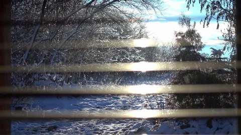 Beautiful view from the window into the garden in early spring. Stock Footage 84400329