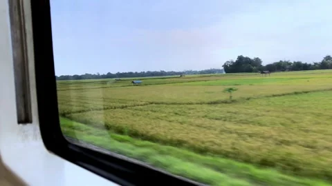 Beautiful view from the window of a long-distance train. 스톡 동영상 319416847