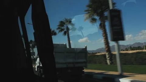 Beautiful view from the window of a moving car. palm trees Stock Footage 101005052