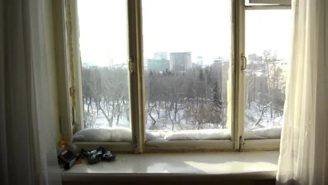 Beautiful view from the window on the park landscape Video stock 129708033