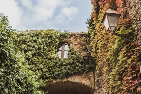 This is a beautiful view of a window surrounded by a climber plant in the Spa Photos