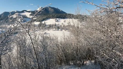 Beautiful view of winter landscape over frozen forest trees in cold sunny nature Stock Footage 237940169