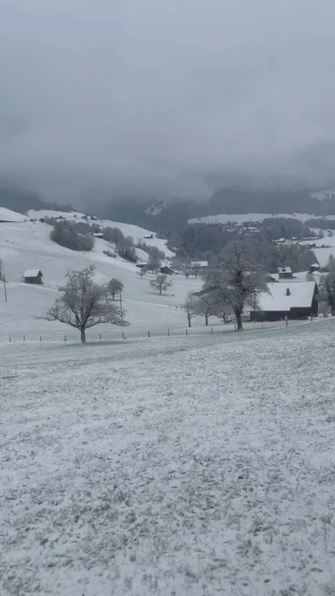 A beautiful view of winter mountains from a window of a train in Switzerland. Video stock 329887501