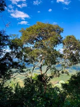 Beautiful viewpoint Fotos de archivo