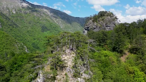 Beautiful viewpoint surrounded by green trees and mountains Stock Footage 265157138