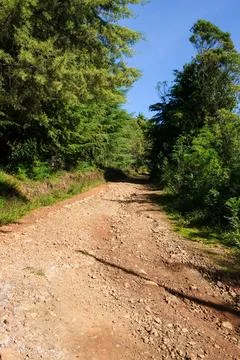 Beautiful views along the road in Hatu Builico village Stock Photos