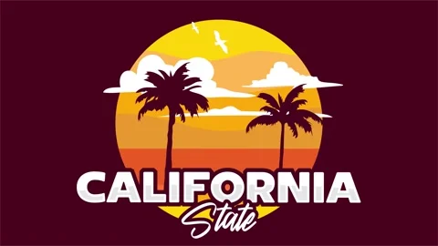 Beautiful views and silhouettes of palm trees in california state Stock Footage 336700935