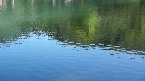 Beautiful views of forest lake with reflection of green trees and grass Stock Footage 66312281