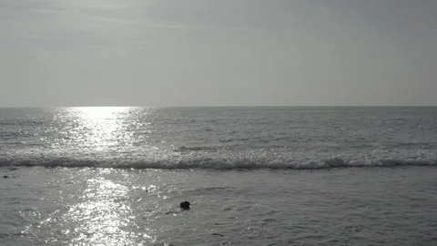 Beautiful views of the Maldives from a drone. Stock-Footage 242834691