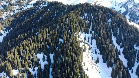 Beautiful views of the mountains in winter Vidéo 122237412