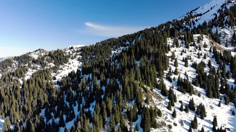 Beautiful views of the mountains in winter Stock Footage 122237825