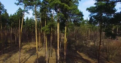 Beautiful views of nature from the height of the Quadrupter Stock Footage 73331880