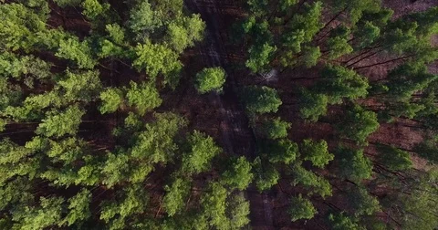 Beautiful views of nature from the height of the Quadrupter Stock Footage 73333169