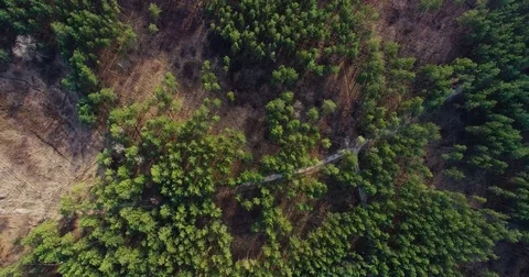 Beautiful views of nature from the height of the Quadrupter Stock Footage 73333535