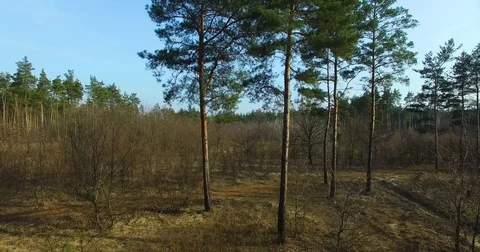 Beautiful views of nature from the height of the Quadrupter Stock Footage 73333896