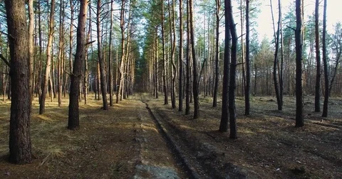 Beautiful views of nature from the height of the Quadrupter Stock Footage 73334000