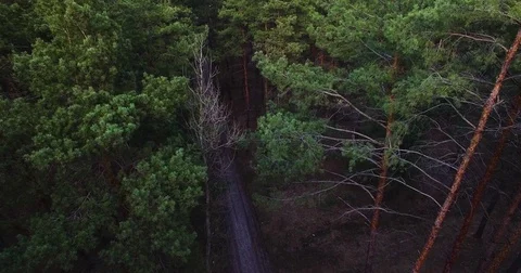 Beautiful views of nature from the height of the Quadrupter Stock Footage 73335420