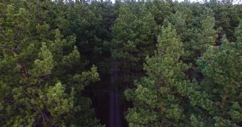 Beautiful views of nature from the height of the Quadrupter Stock Footage 73335652