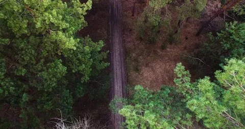Beautiful views of nature from the height of the Quadrupter Stock Footage 73335964