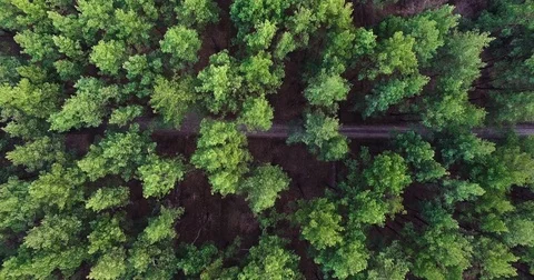 Beautiful views of nature from the height of the Quadrupter Stock Footage 73335972