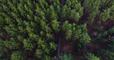 Beautiful views of nature from the height of the Quadrupter Stock Footage 73336212