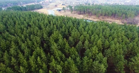 Beautiful views of nature from the height of the Quadrupter Stock Footage 73336743