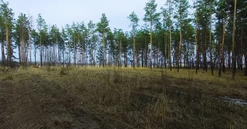 Beautiful views of nature from the height of the Quadrupter Stock Footage 73336774