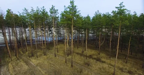 Beautiful views of nature from the height of the Quadrupter Stock Footage 73336803