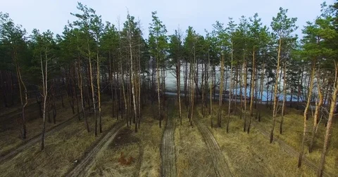 Beautiful views of nature from the height of the Quadrupter Stock Footage 73336897