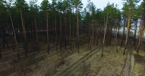 Beautiful views of nature from the height of the Quadrupter Stock Footage 73337117