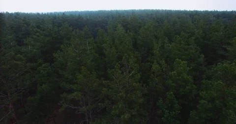 Beautiful views of nature from the height of the Quadrupter Stock Footage 73337828