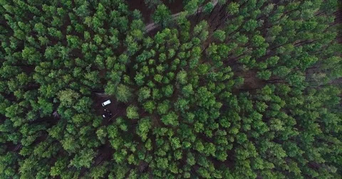 Beautiful views of nature from the height of the Quadrupter Stock Footage 73338083