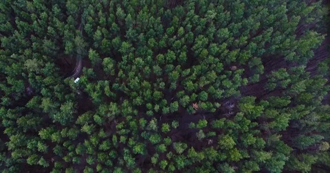 Beautiful views of nature from the height of the Quadrupter Stock Footage 73338385
