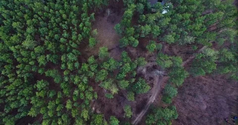 Beautiful views of nature from the height of the Quadrupter Stock Footage 73338480