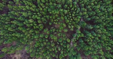 Beautiful views of nature from the height of the Quadrupter Stock Footage 73338859