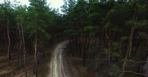 Beautiful views of nature from the height of the Quadrupter Stock Footage 73339381