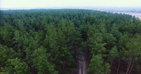 Beautiful views of nature from the height of the Quadrupter Stock Footage 73339588