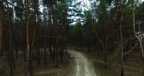 Beautiful views of nature from the height of the Quadrupter Stock Footage 73339598