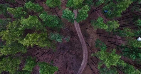 Beautiful views of nature from the height of the Quadrupter Stock Footage 73339880