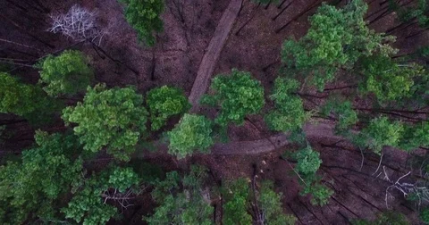 Beautiful views of nature from the height of the Quadrupter Stock Footage 73340001