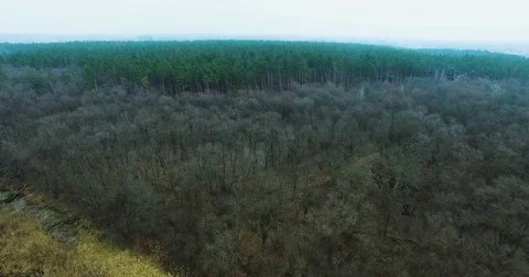 Beautiful views of nature from the height of the Quadrupter Stock Footage 73340506