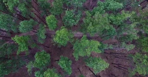 Beautiful views of nature from the height of the Quadrupter Stock Footage 73340520