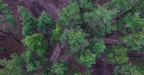 Beautiful views of nature from the height of the Quadrupter Stock Footage 73341175