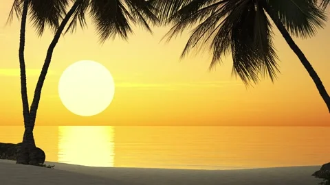 Beautiful views of palm trees and the sea during a tropical vacation. Stock Footage 317835318