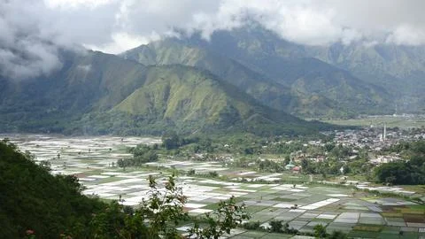 Beautiful views of rice fields and hills Stock Photos