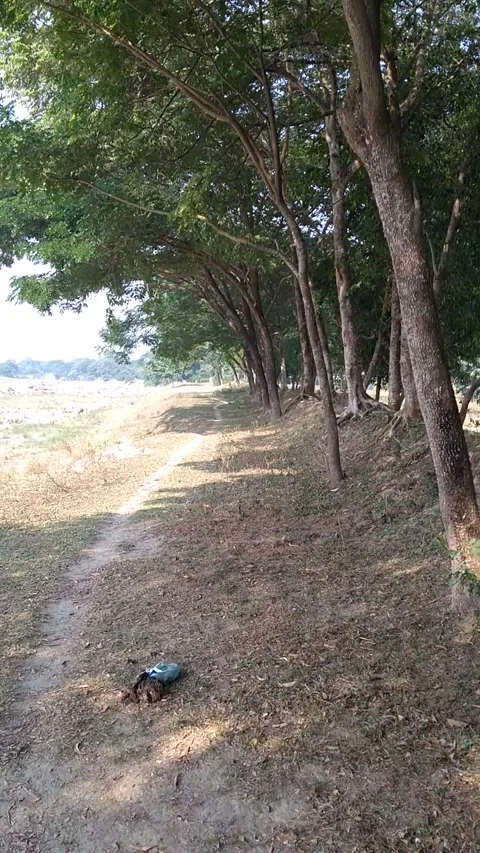 Beautiful village path 스톡 동영상 226992573