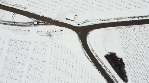 Beautiful Vines Aerial Shot With Drone Shot In France with snow Stock Footage
