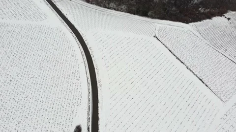 Beautiful Vines Aerial Shot With Drone Shot In France with snow 8 Stock Footage
