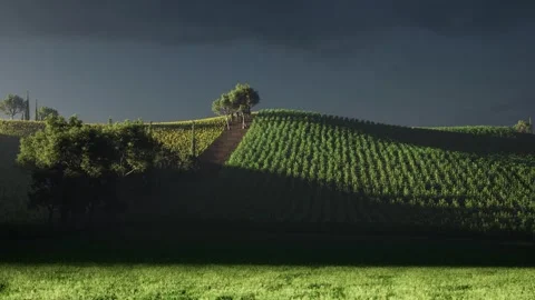 Beautiful vineyard hills under dark dramatic storm sky, tuscany view Stock Footage 338230641